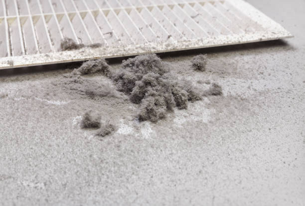 Best Home Air Vent Cleaning  in Quincy, MI