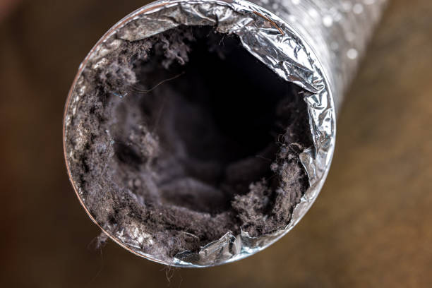 Best Air Duct Cleaning Cost  in Quincy, MI