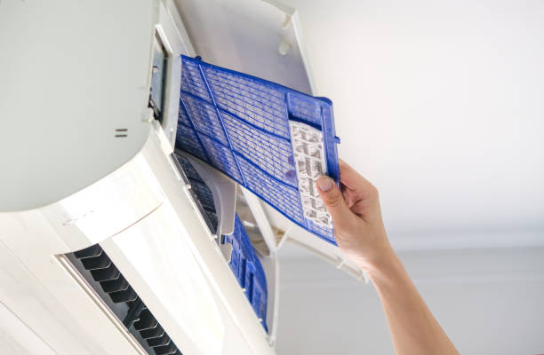 Best HVAC Maintenance and Cleaning  in Quincy, MI