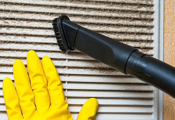 Best HVAC Duct Inspection Services  in Quincy, MI
